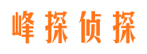 普定市调查取证